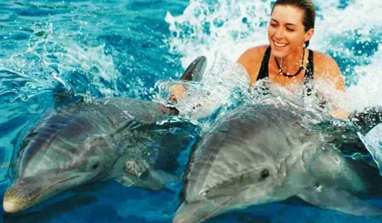 KIZIMKAZI DOLPHIN TOUR