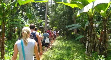 SPICE FARM ZANZIBAR