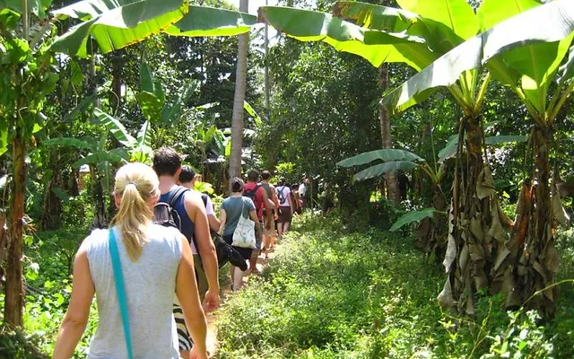 SPICE FARM TOUR