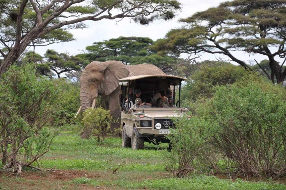 Arusha National Park Exploration