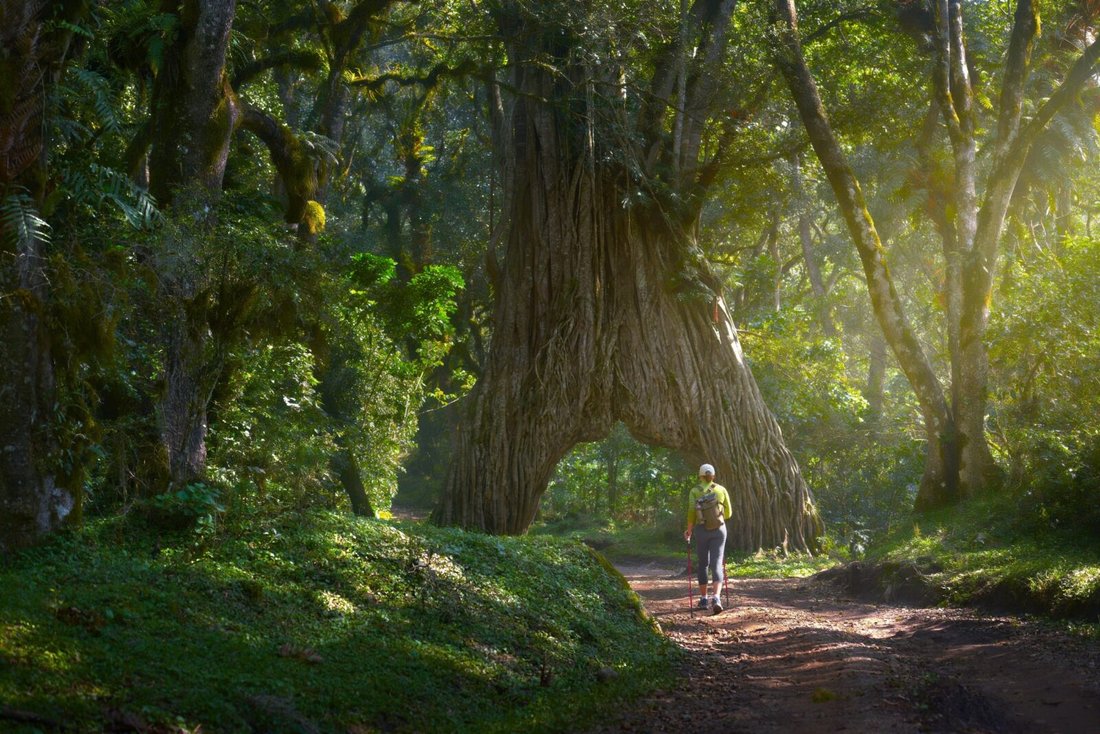 Arusha National Park