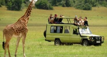 1 DAY SAFARI MIKUMI NATIONAL PARK