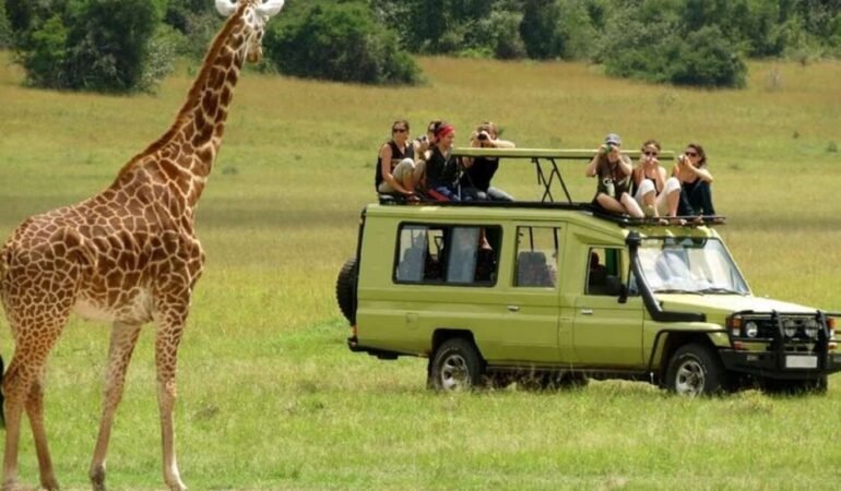 1-Day Mikumi Safari Tour