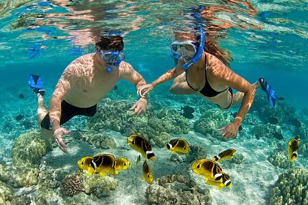 MNEMBA SNORKELING TOUR