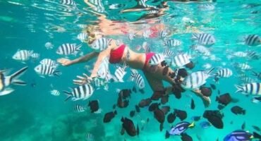 zanzibar snorkeling