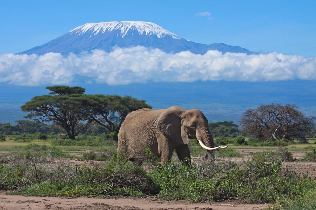 MOUNT KILIMANJARO TOUR TANZANIA