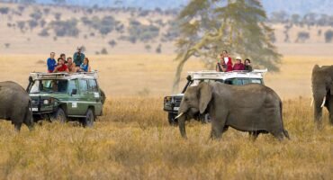 NGORONGORO