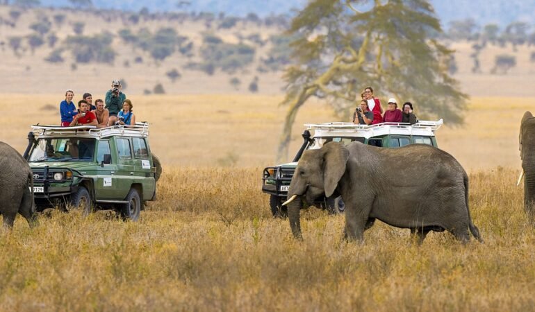 Ngorongoro Safari Escape