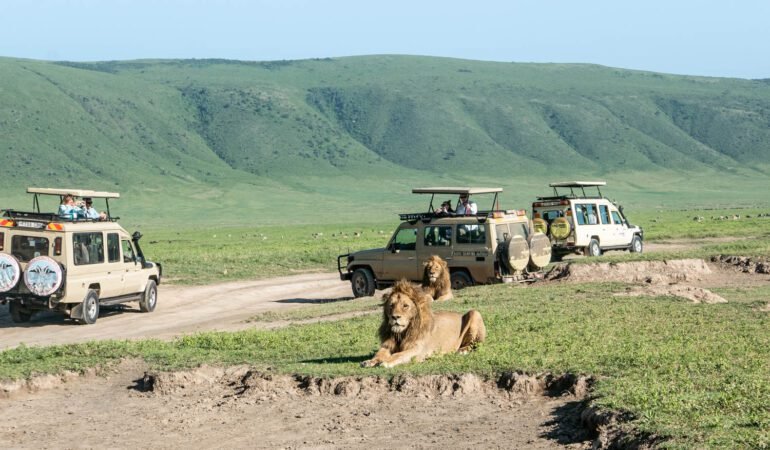 4 Days Tanzania Safari Tour