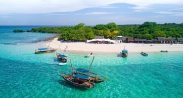 Safari Blue Zanzibar