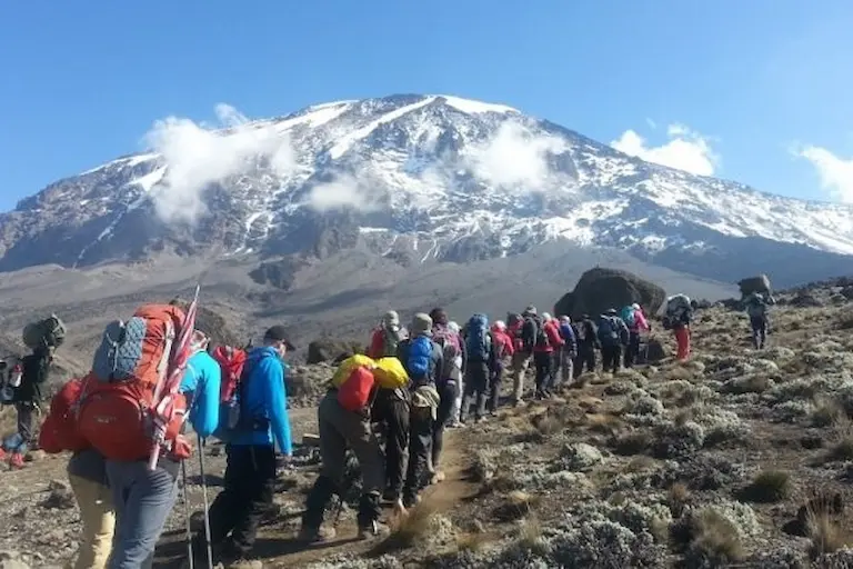 Kilimanjaro Marangu Route