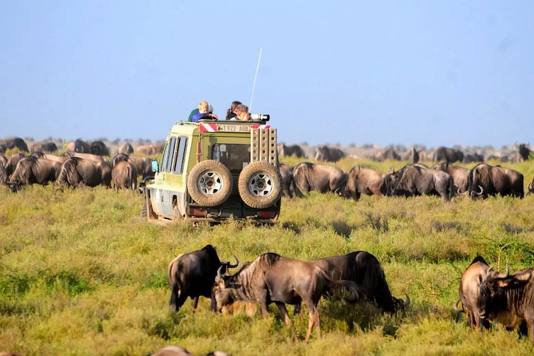 Serengeti-National-Park-Wildlife-Safari