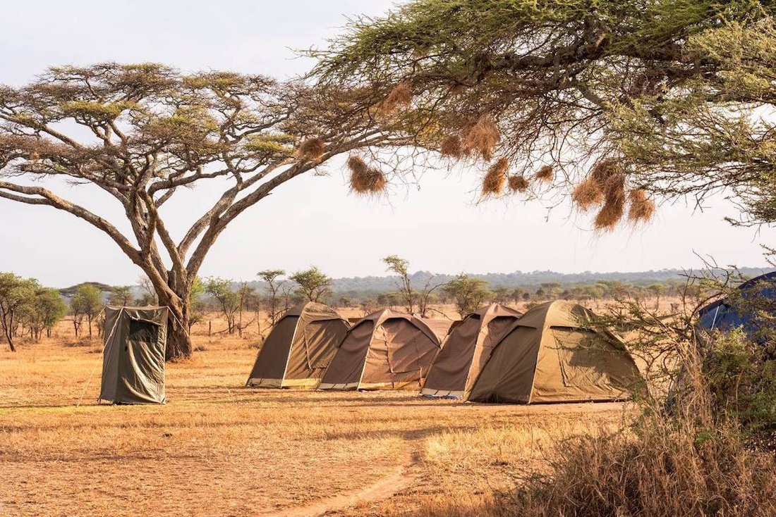 Tanzania Camping Safari