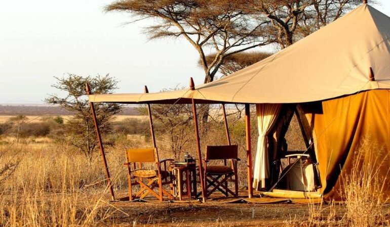 3 Day Camping Safari