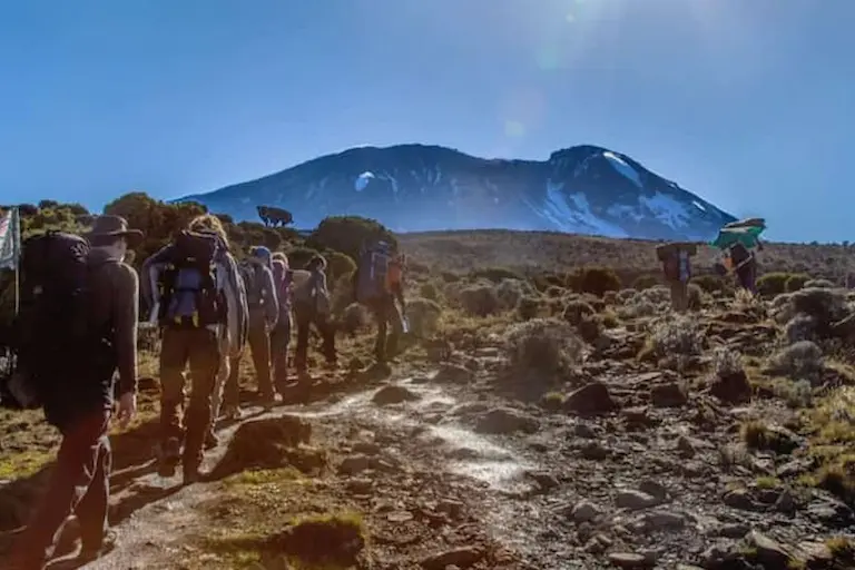 Kilimanjaro Umbwe Route